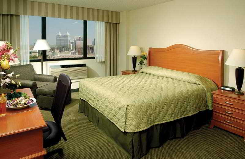 Holiday Inn Houston S - Nrg Area - Med Ctr By Ihg Habitación foto